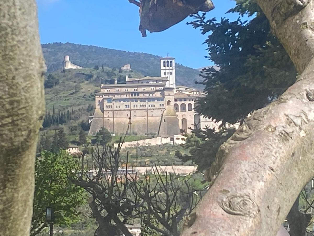 Agriturismo Il Girasole Assisi Exterior foto
