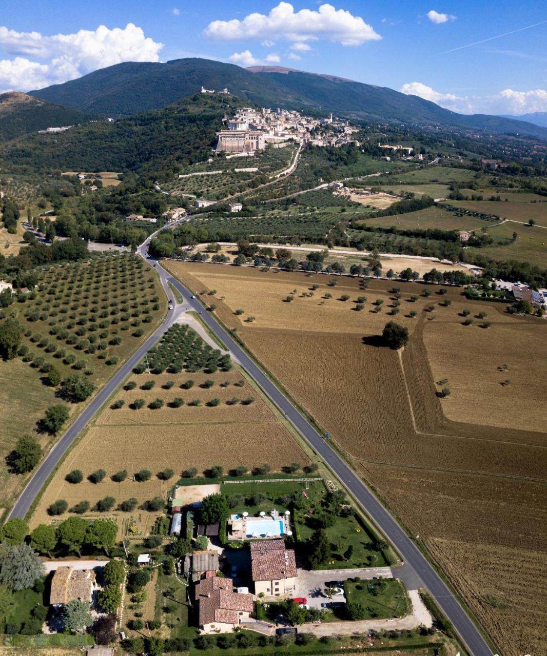 Agriturismo Il Girasole Assisi Exterior foto